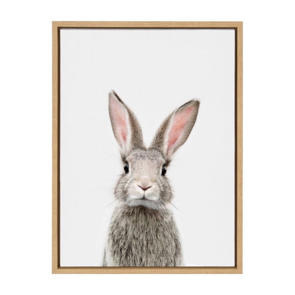 Kate and Laurel Sylvie Female Baby Bunny Rabbit Portrait Framed Canvas Wall Art